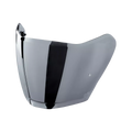 VISOR IRIDES (L-XL-XXL) - IRIDIUM SILVER
